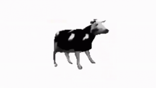 Dancing Cow